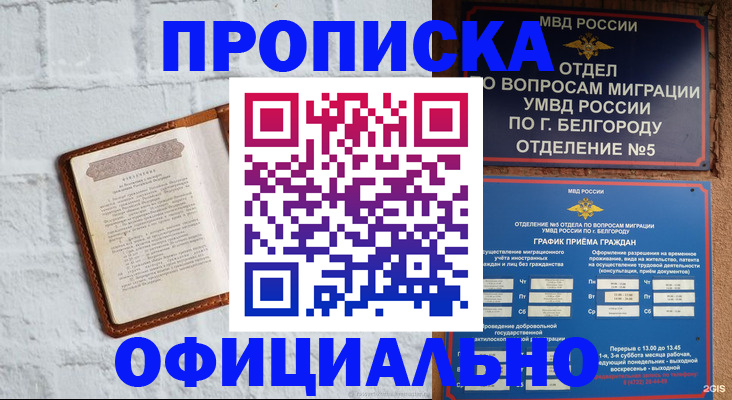 временная регистрация для школы в Фрязино